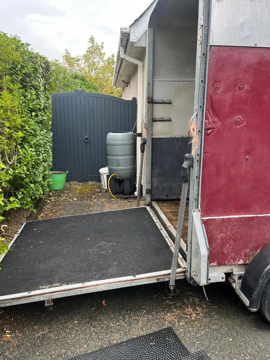 Ifor Williams 505 Horsebox for Sale in Co Meath - Image 3