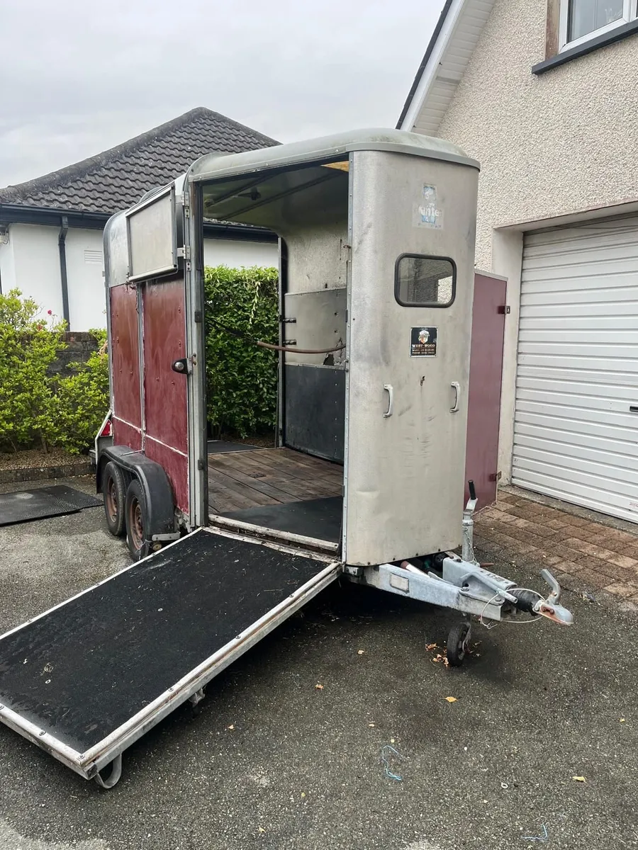 Ifor Williams 505 Horsebox for Sale in Co Meath - Image 4