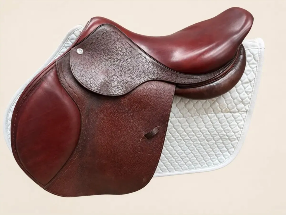 Equi Consignment Ireland - Image 3