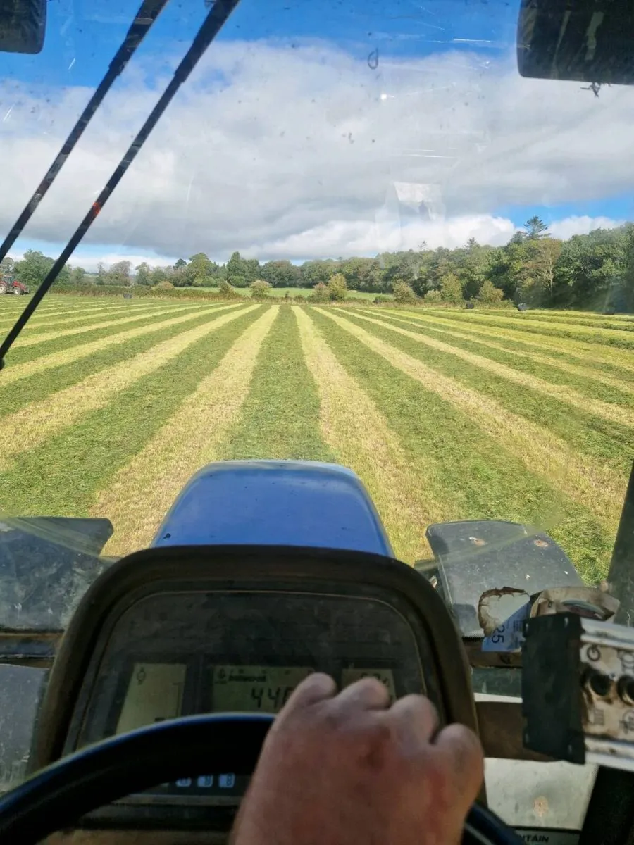 Silage bale's - Image 4
