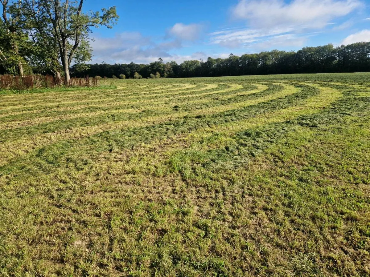Silage bale's - Image 2