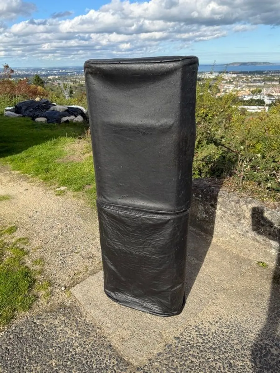 Electro Voice SX 300 12" Passive Speakers with covers - Image 3
