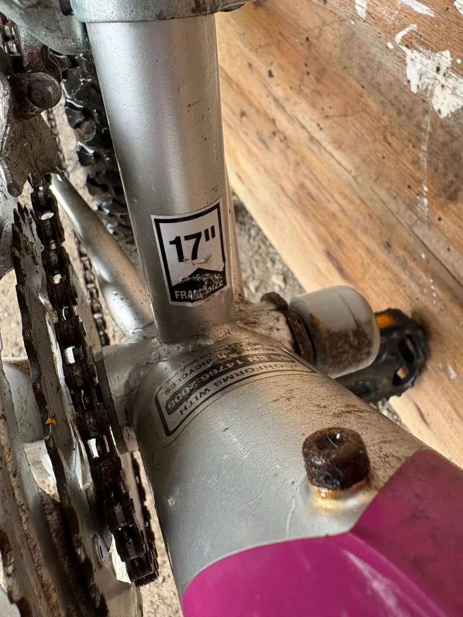 Girls Bicycle - Image 1