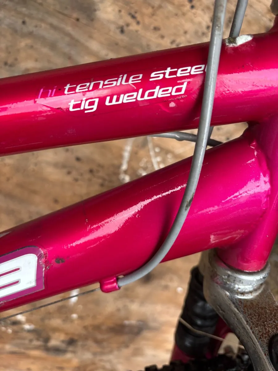 Girls Bicycle - Image 3