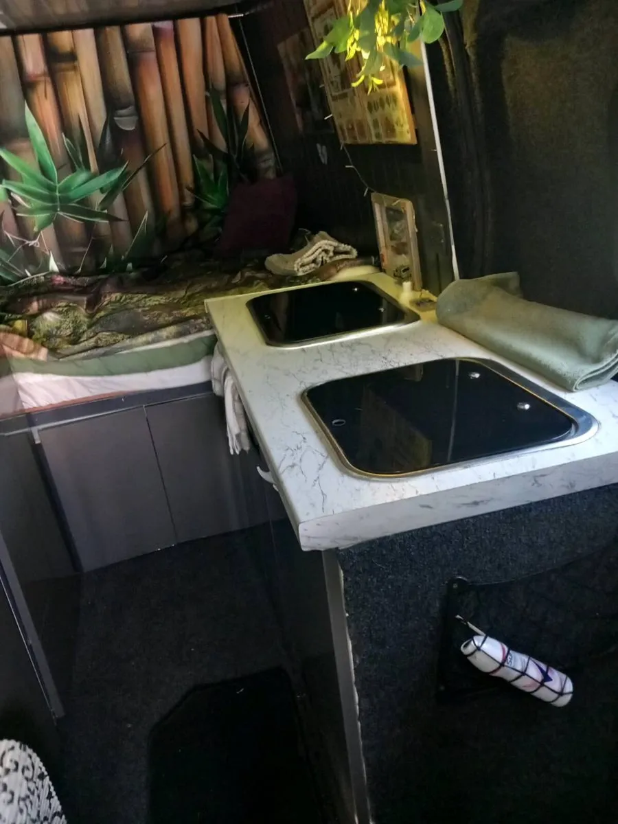 Campervan LVD 80 - Image 3