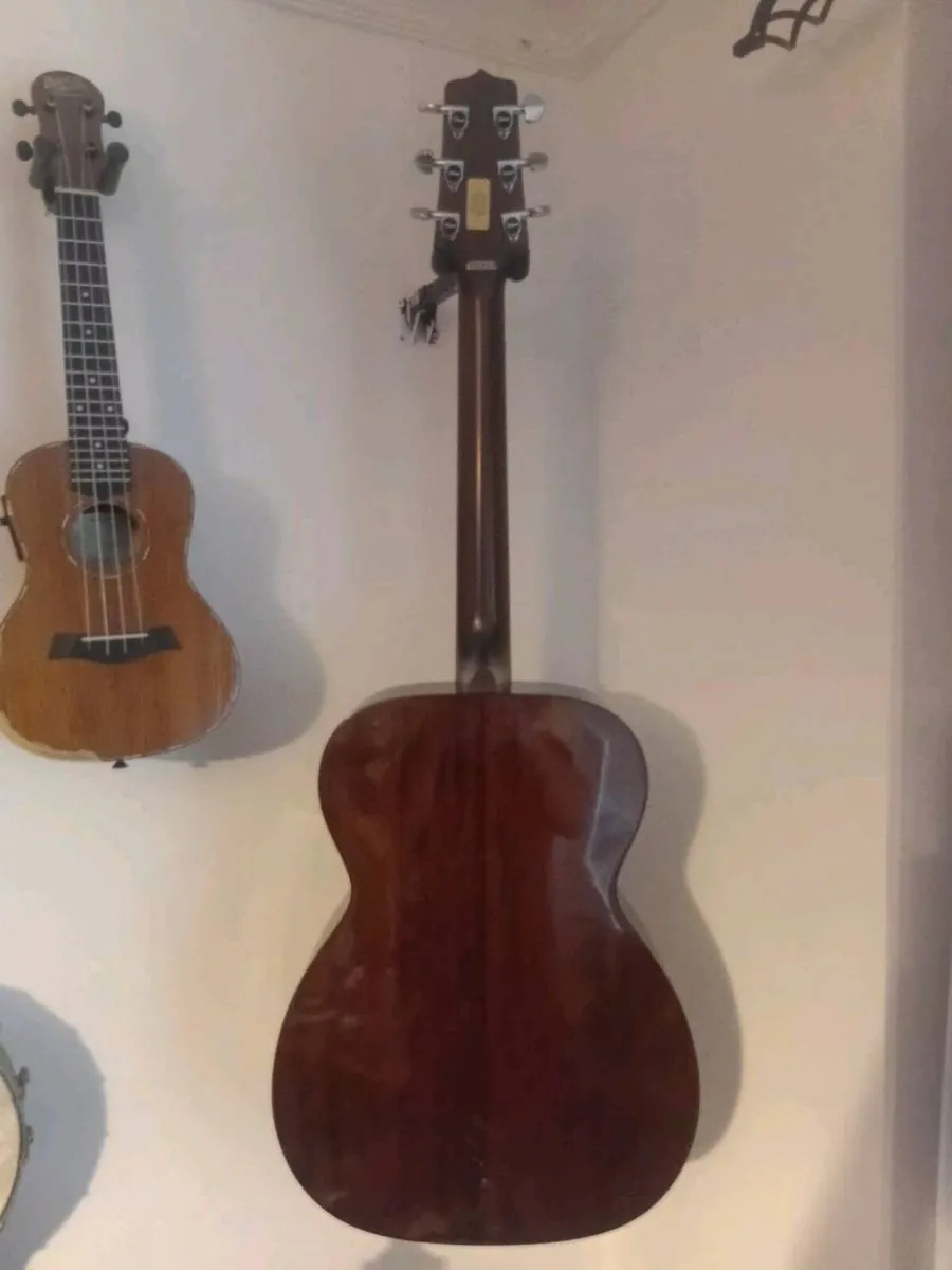 Takamine guitar - Image 2