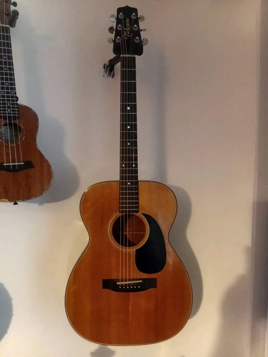 Takamine guitar - Image 1