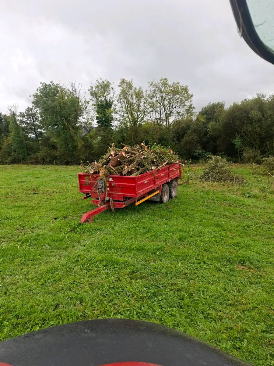 Firewood - Image 1