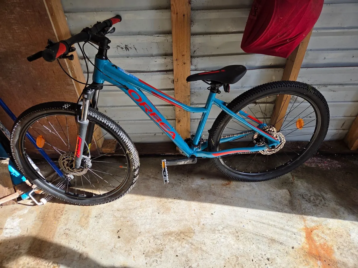 Mountain bike