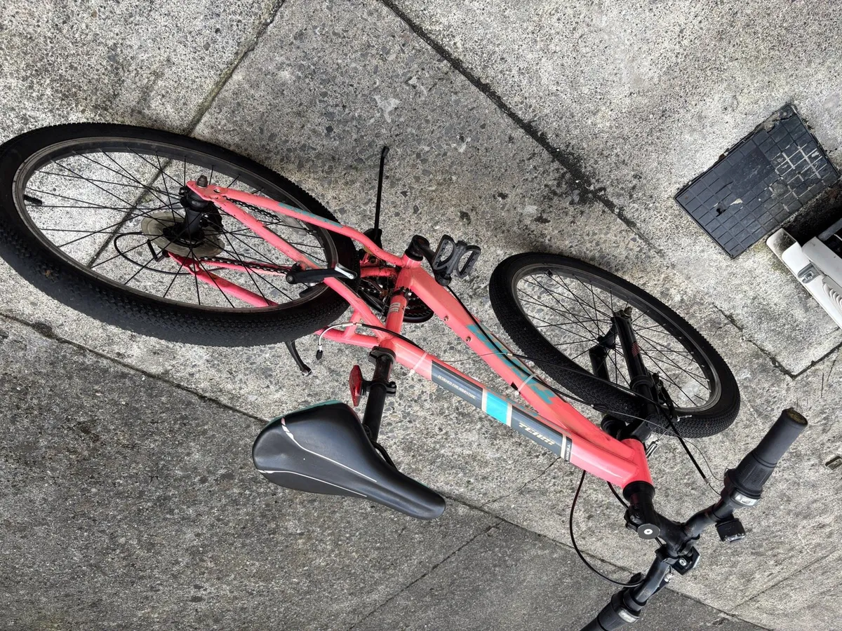 Pink bike - Image 1