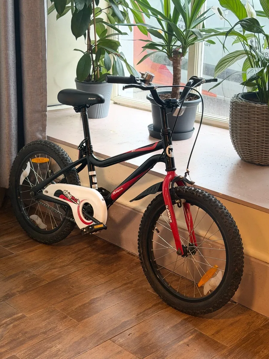 Bike 18 inch - Image 3