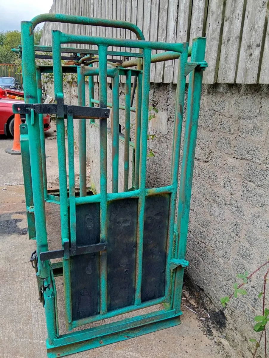 Cattle crush with head clamp - Image 2