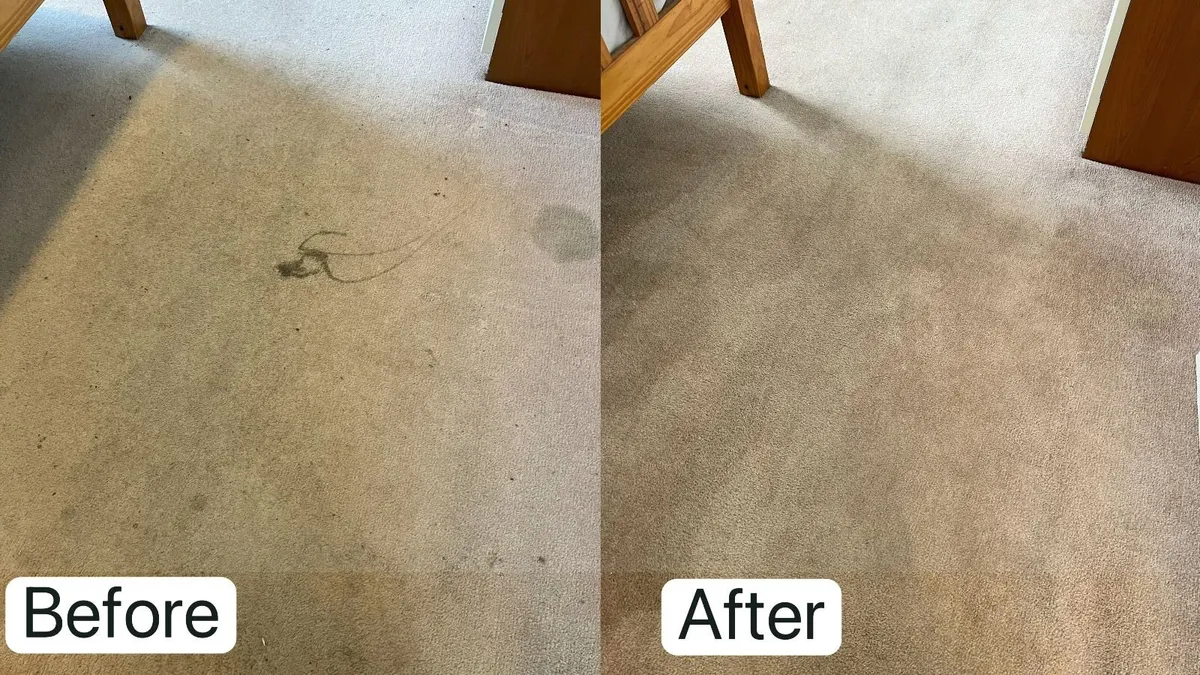 SOFA, CARPET & UPHOLSTERY CLEANING - Image 2