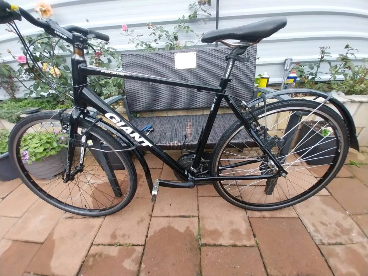 Giant escape hybrid - Image 2