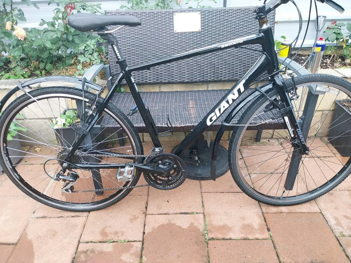 Giant escape hybrid - Image 1