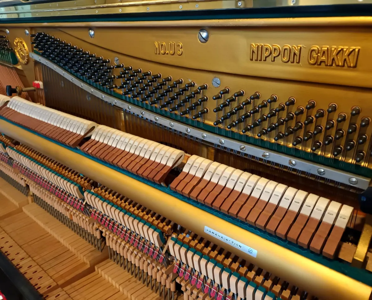 Yamaha U3 (1966) Restored - Image 2