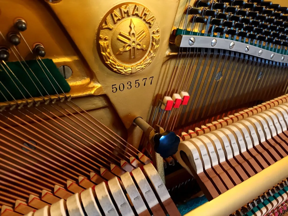 Yamaha U3 (1966) Restored - Image 3