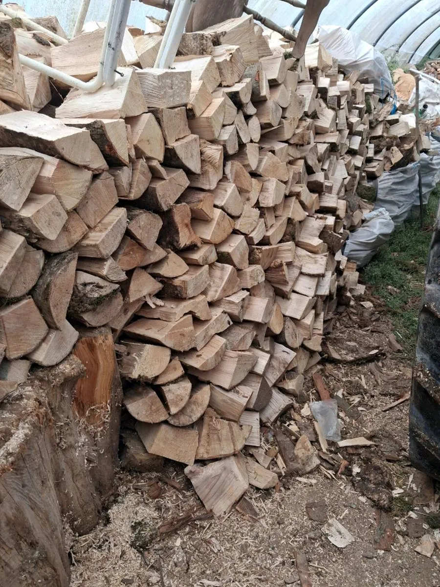 Firewood - Image 2