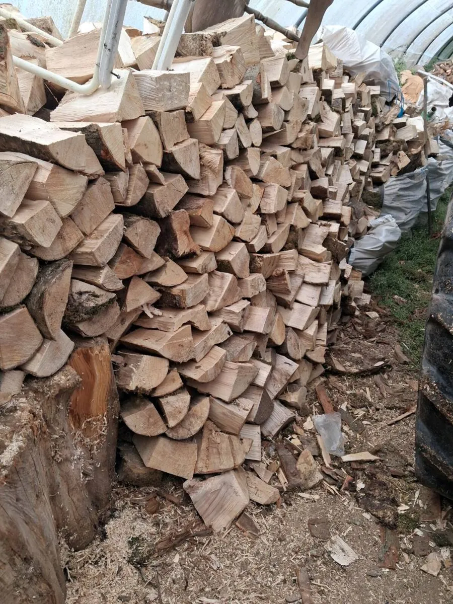 Firewood - Image 1