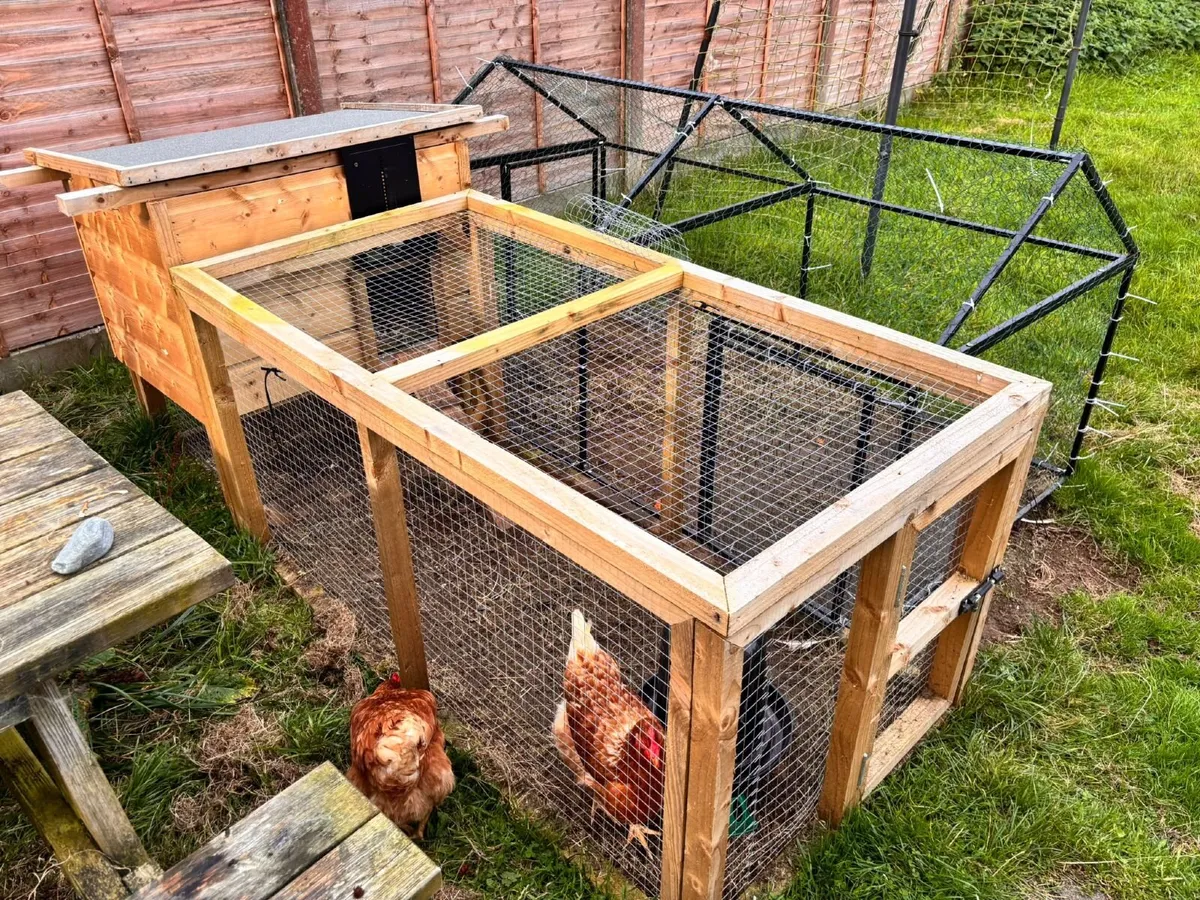 Chicken coop with additonal run - Image 2