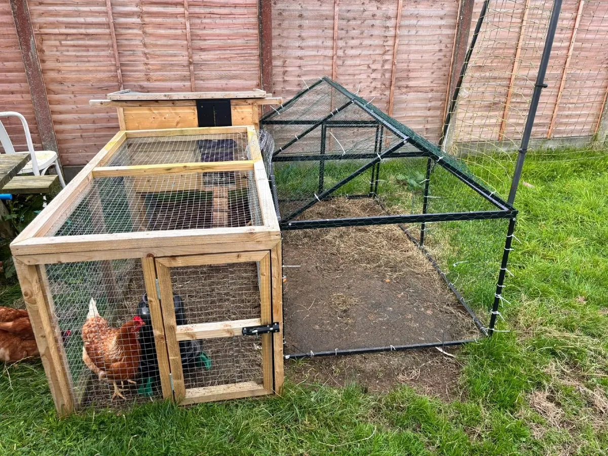 Chicken coop with additonal run - Image 4