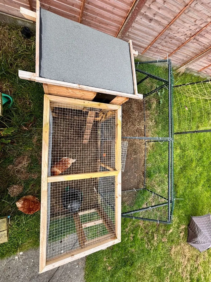 Chicken coop with additonal run - Image 3