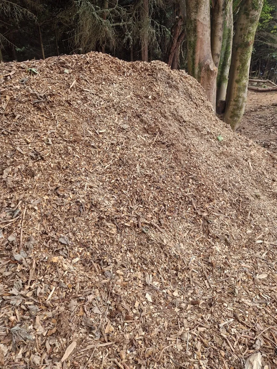 Loose Wood Chips