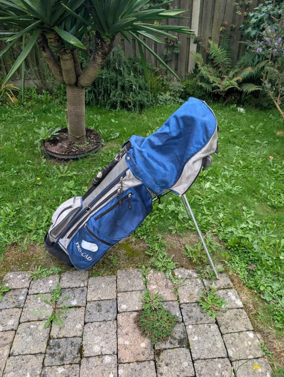 Beginner Adult Golf clubs - Image 1