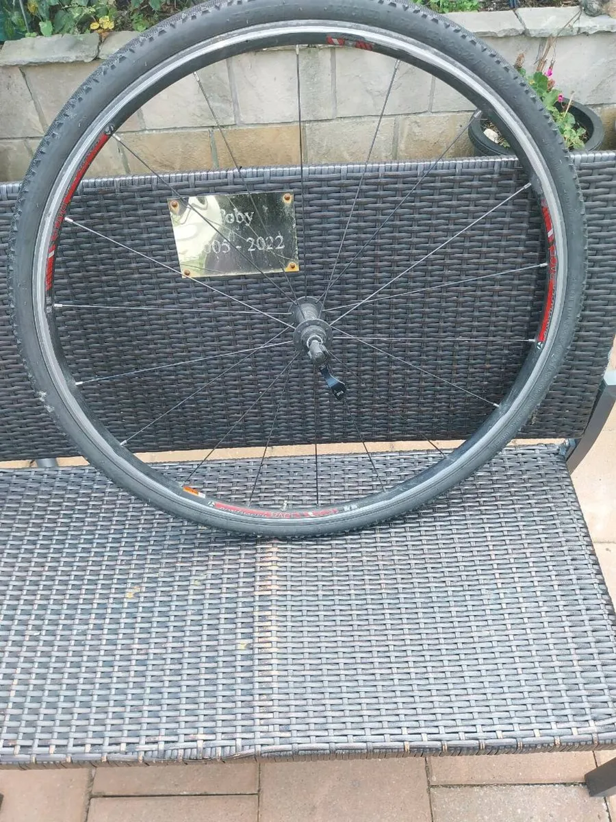Bontrager 700c race wheel and tyre front - Image 2