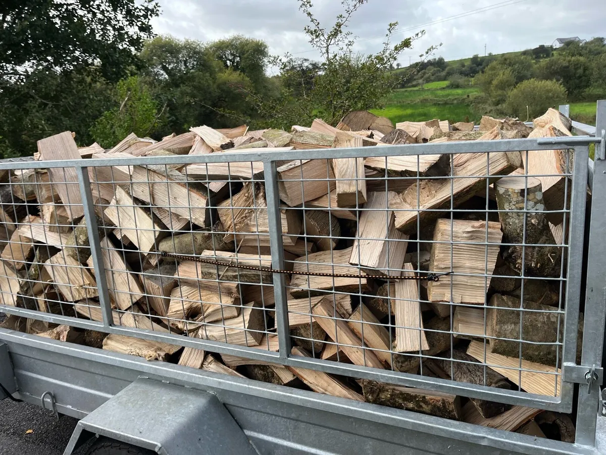 Ash Hardwood Firewood - Image 2