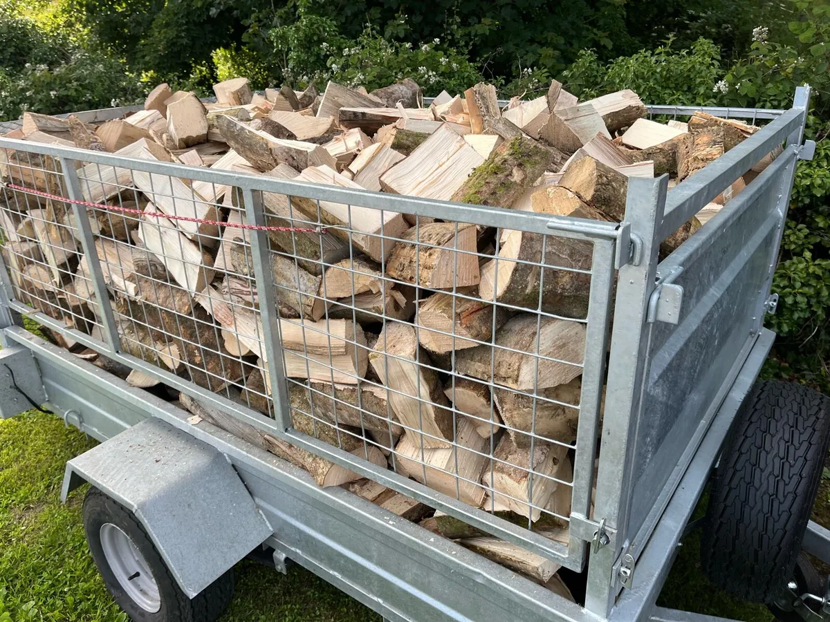 Ash Hardwood Firewood - Image 4