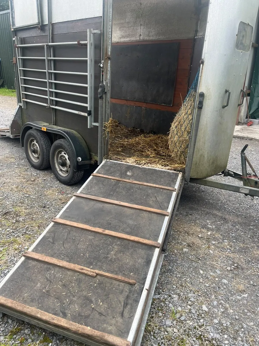 Horse box - Image 3