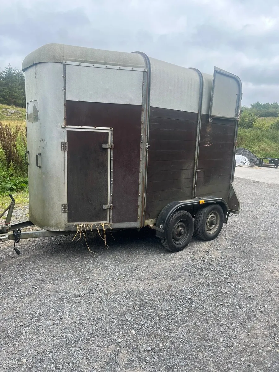 Horse box - Image 4
