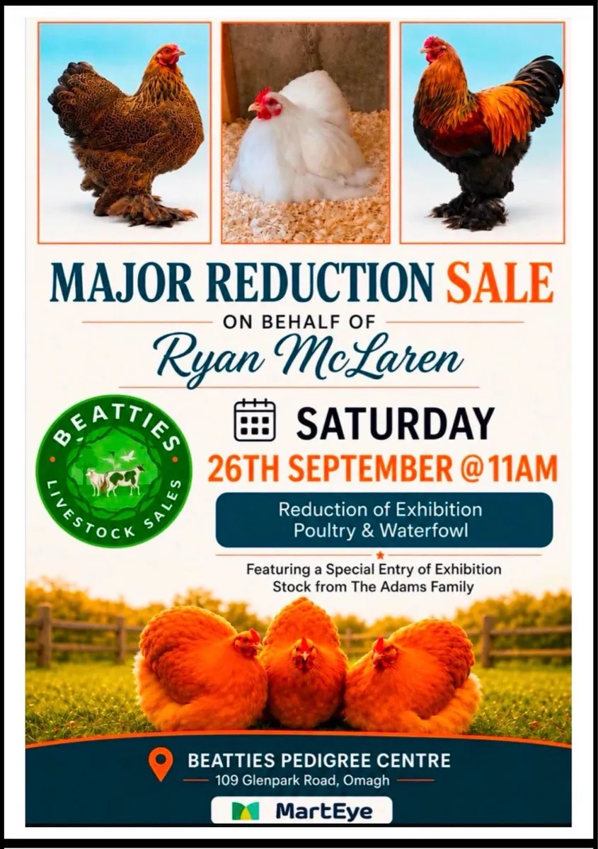 Major Reduction Sale on Behalf of Ryan McLaren - Image 1