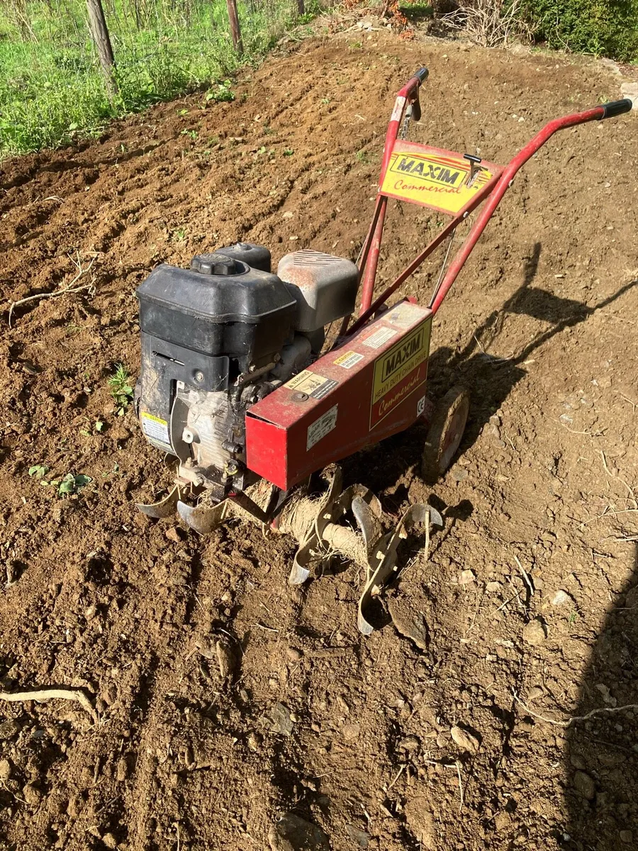 Chain driven Rotavator - Image 1