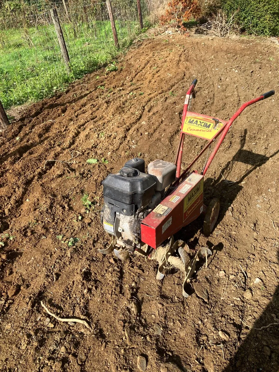 Chain driven Rotavator - Image 2