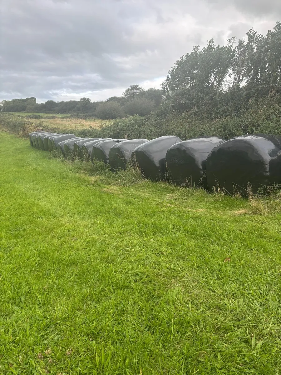 round bales
