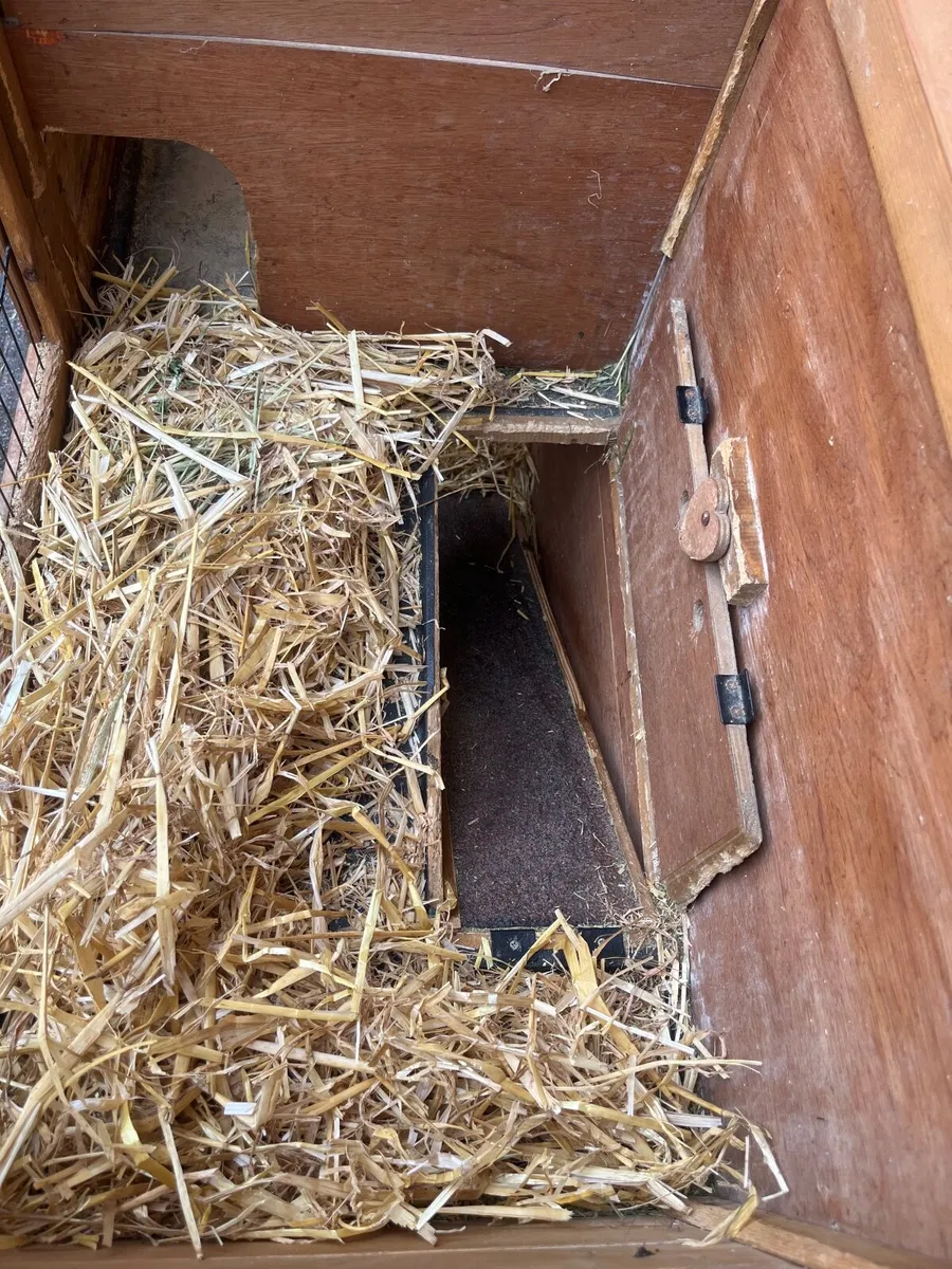 Rabbit hutch - Image 4