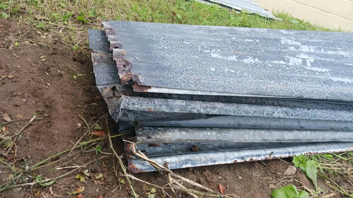 Galvanised iron sheets 8ft + 10 ft [used] - Image 3