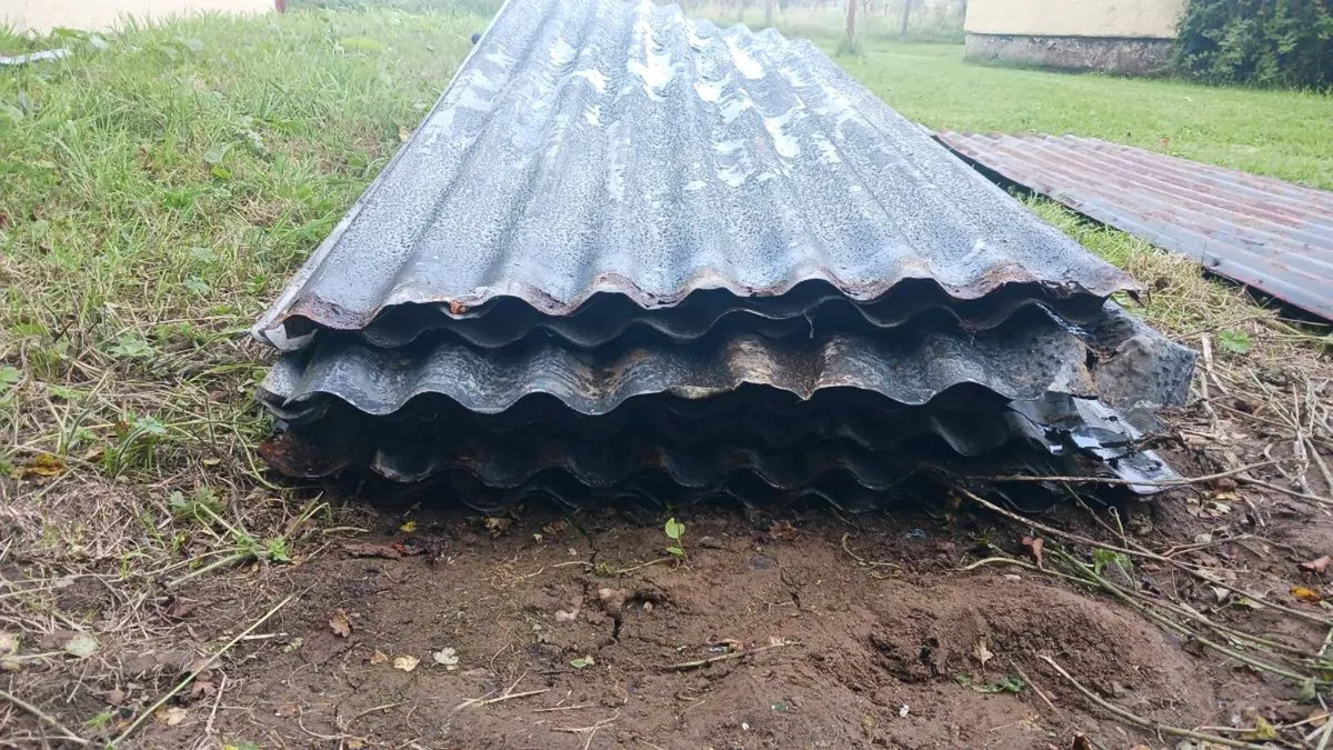 Galvanised iron sheets 8ft + 10 ft [used] - Image 2