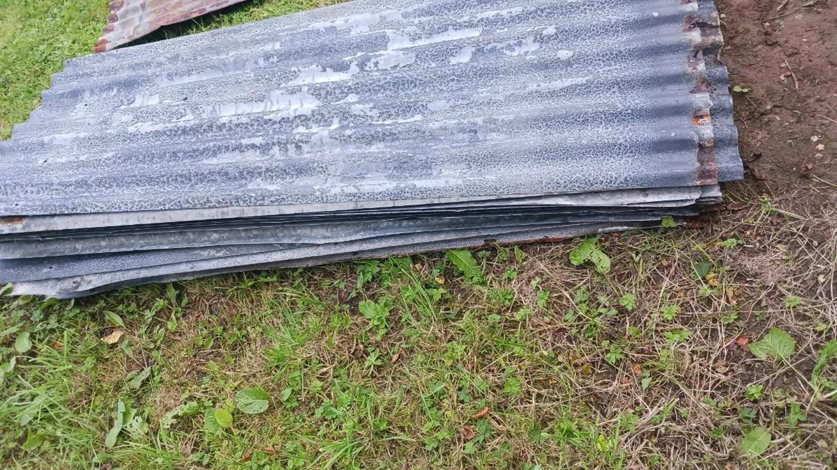 Galvanised iron sheets 8ft + 10 ft [used] - Image 4