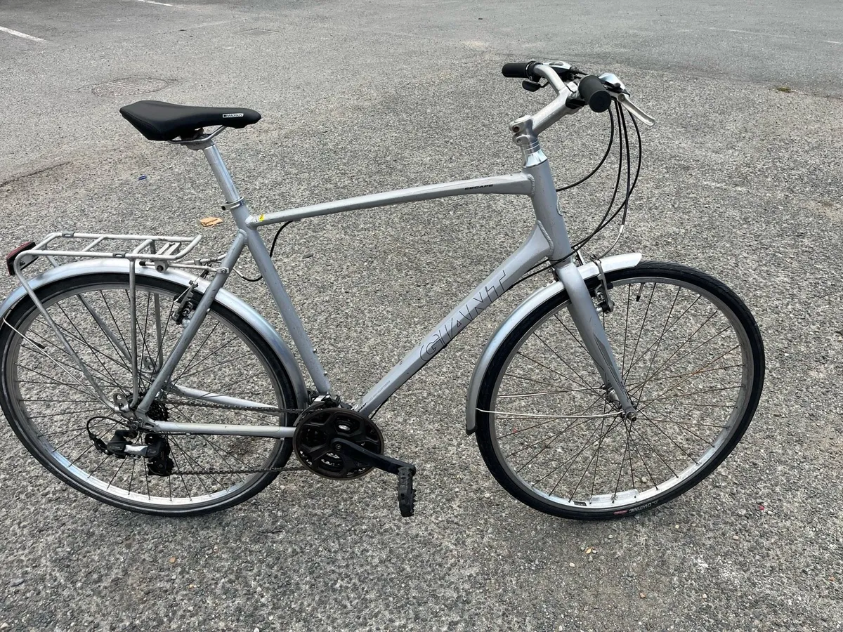 XL Hybrid - Image 1