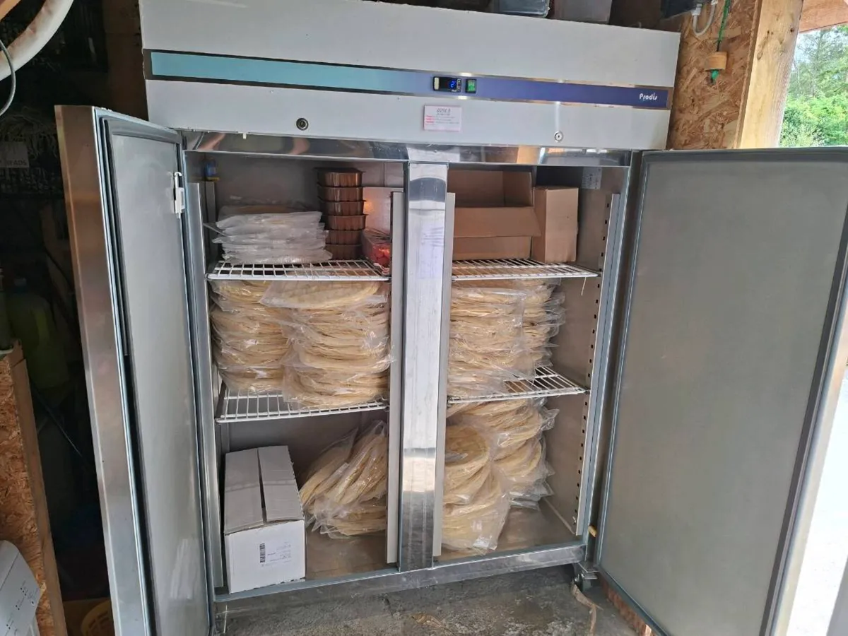 Professional Double Door Stainless Steel Fridge - Image 2