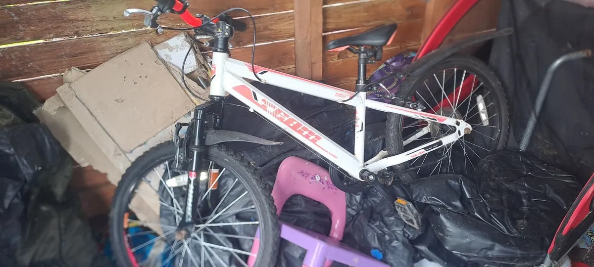 Girls bike - Image 1