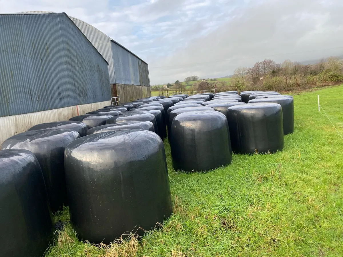 Round  bales