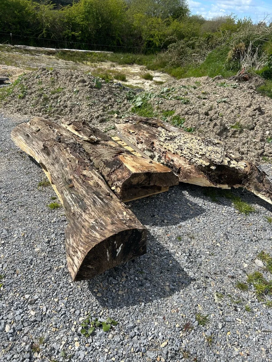 Splatted beech slabs