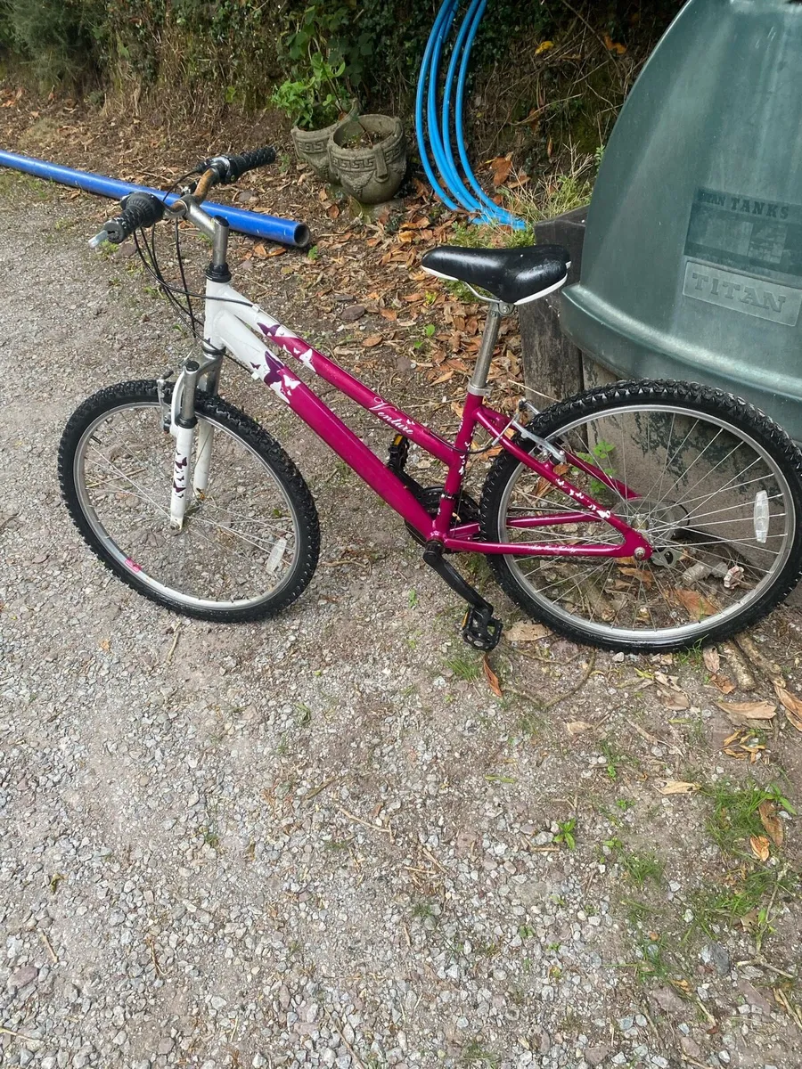 Ladys bike - Image 1