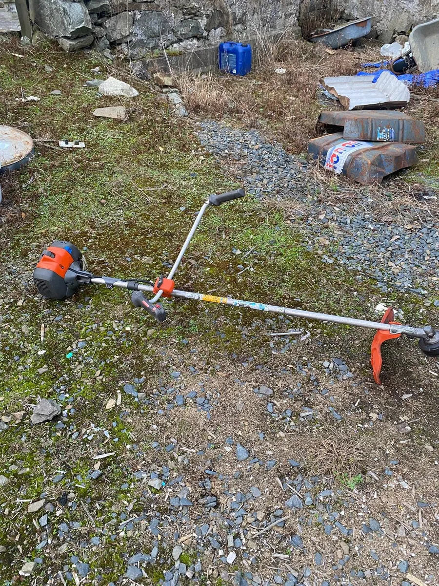 Strimmer - Image 1