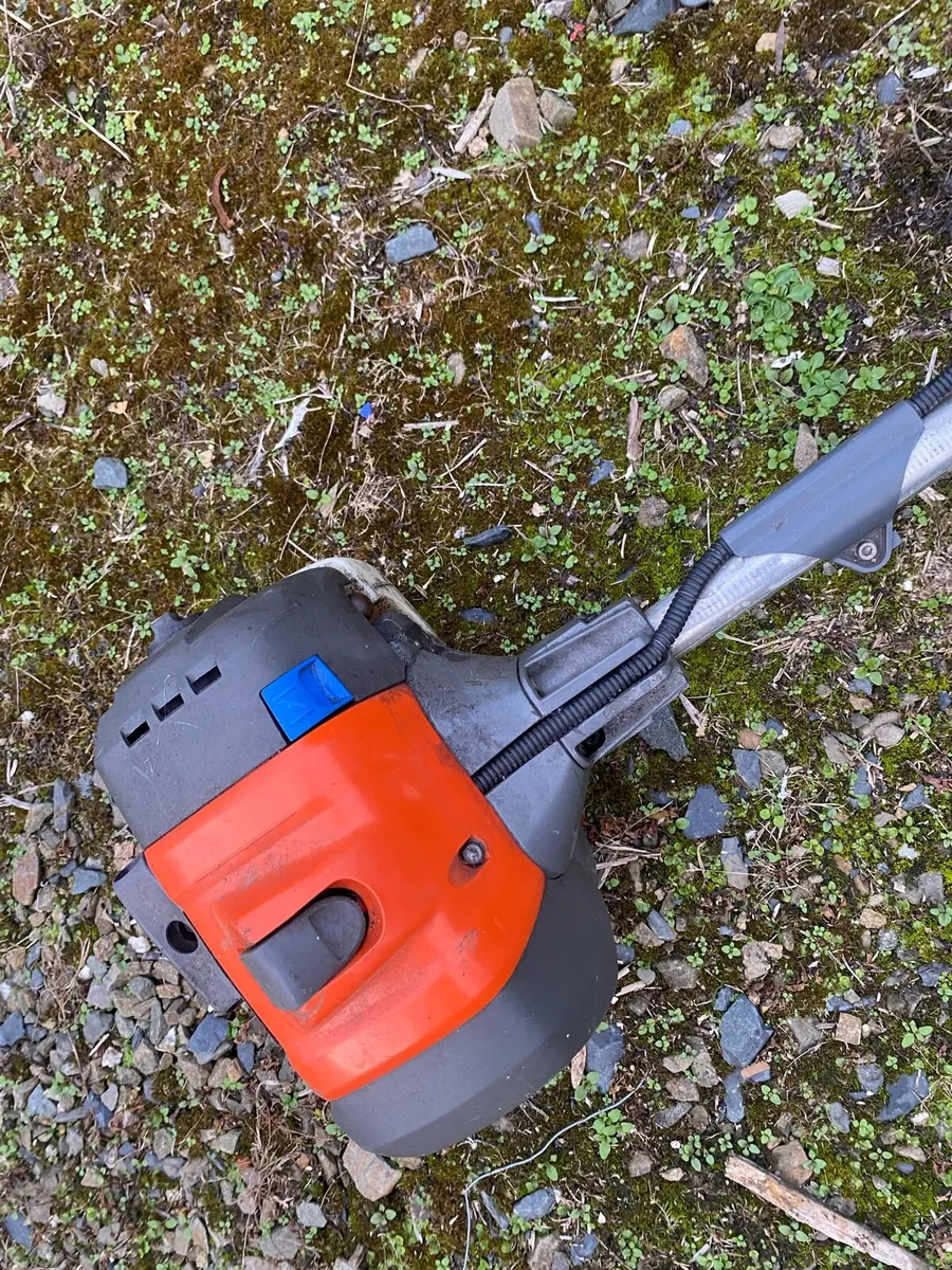 Strimmer - Image 2