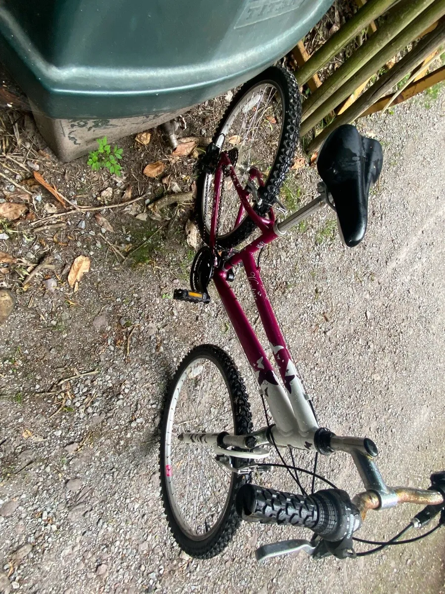 Ladys bike - Image 2